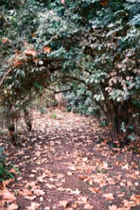 Autumn is in the air (51612830020)