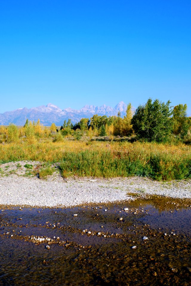Autumnal Bliss on the National Elk Refuge (51484093264)