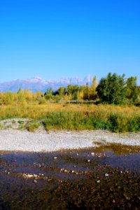 Autumnal Bliss on the National Elk Refuge (51484093264)