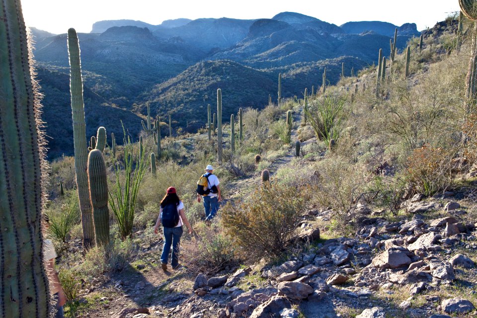Az hells cyn-5640 (26092410024)