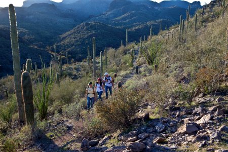 Az hells cyn-5648 (26698198605)