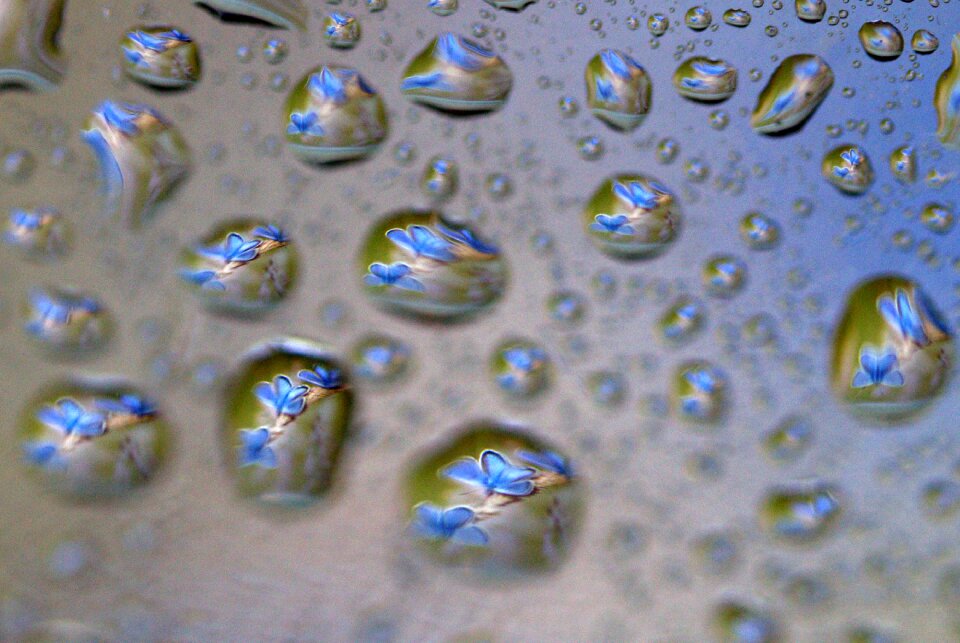 Reflection water rain