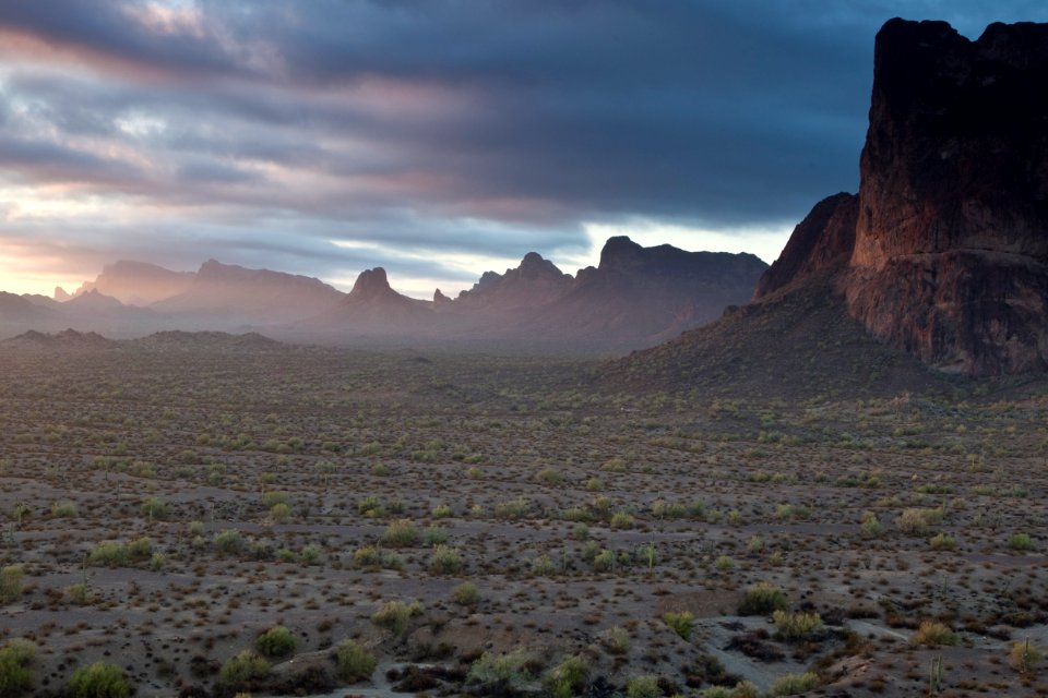 Az eagletail-6428 (26631726691)