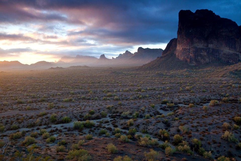 Az eagletail-6434 (26671154976)