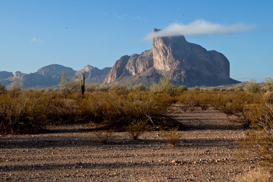 Az eagletail-6521 (26604873792)