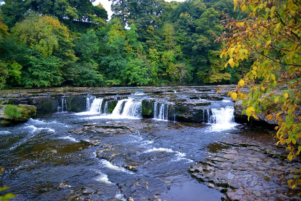 Aysgarth Falls, River Ure, Yorkshire (22303666646)
