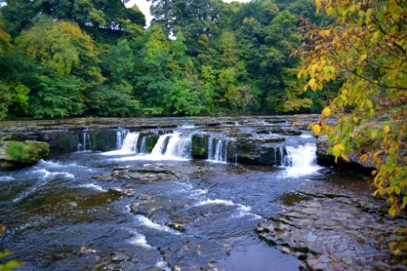Aysgarth Falls, River Ure, Yorkshire (22303666646)