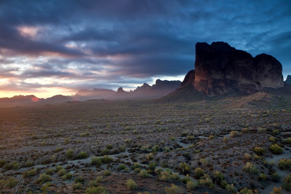Az eagletail-6429 (26671151306)