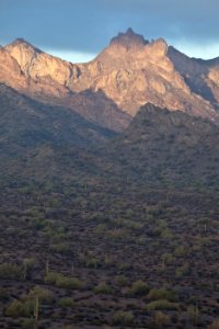 Az eagletail-6475 (26092054604)