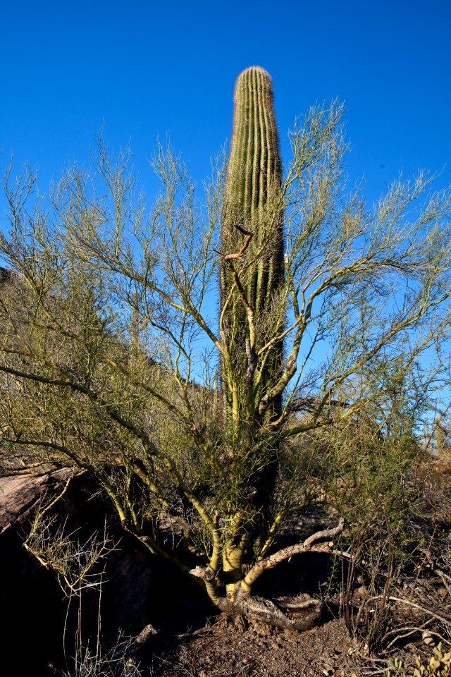 Az hells cyn-5634 (26094185803)