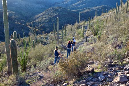 Az hells cyn-5642 (26605219732)