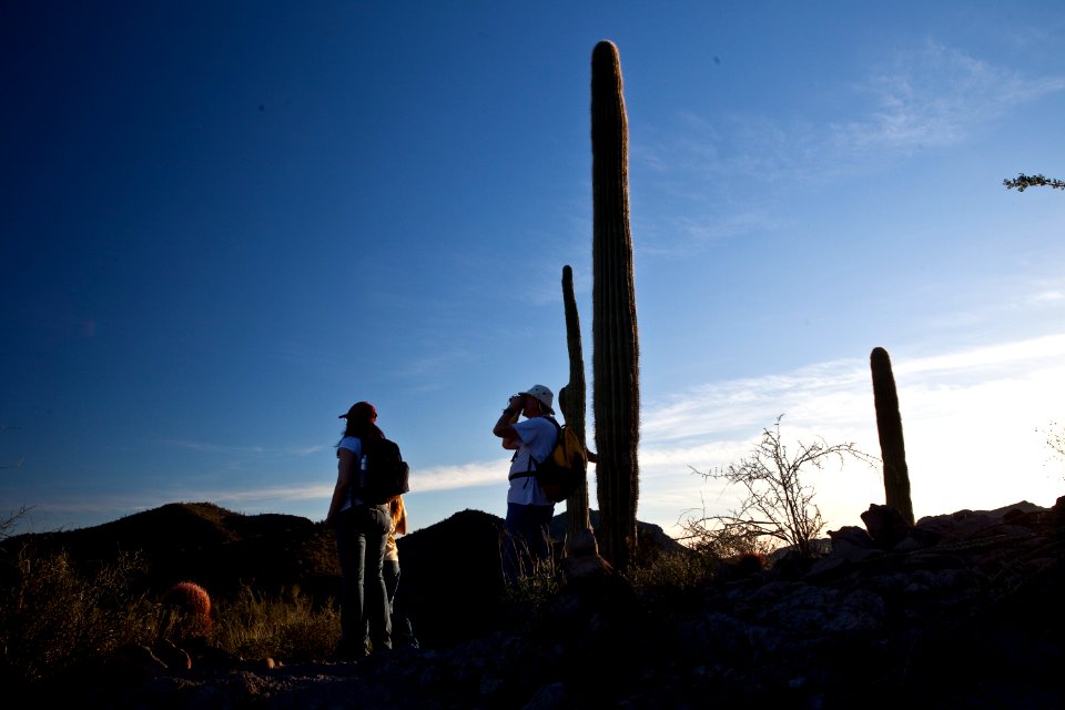 Az hells cyn-5637 (26605210802)