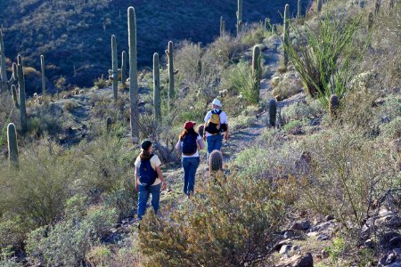 Az hells cyn-5643 (26698194255)