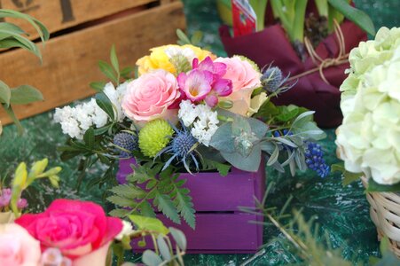 Floral nature flower arrangement