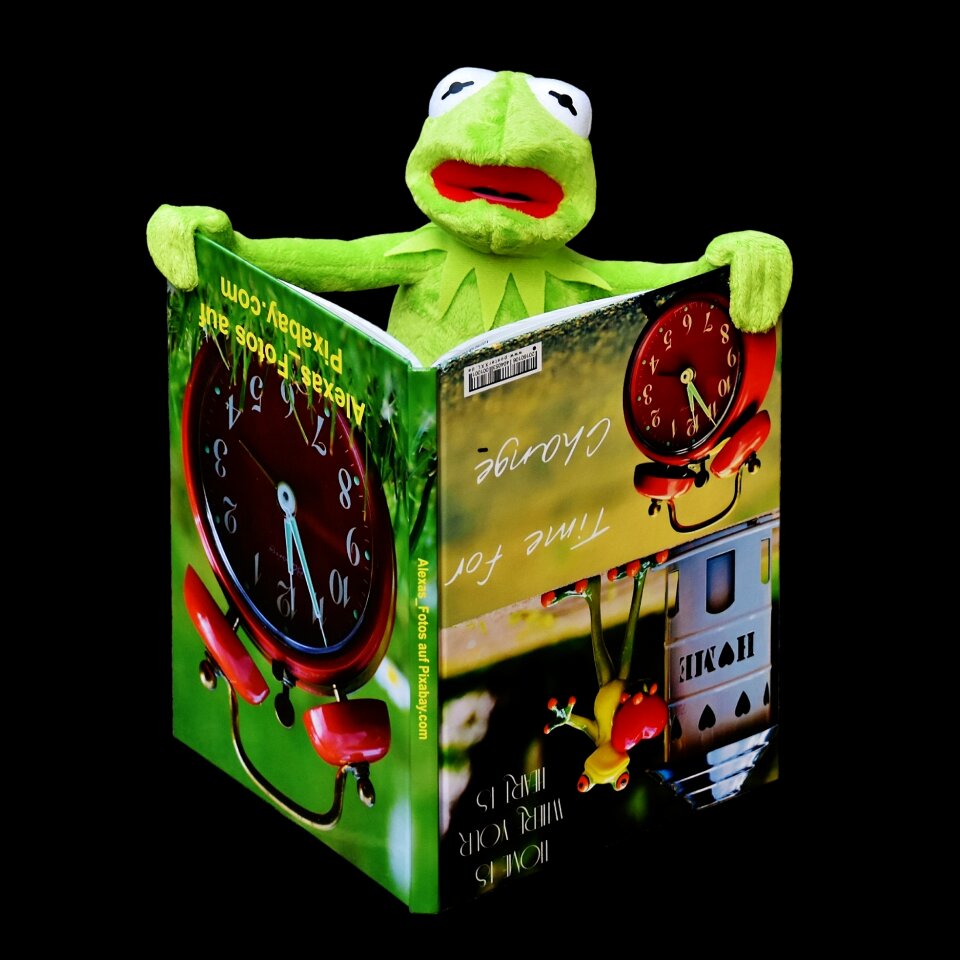 To watch frog sit