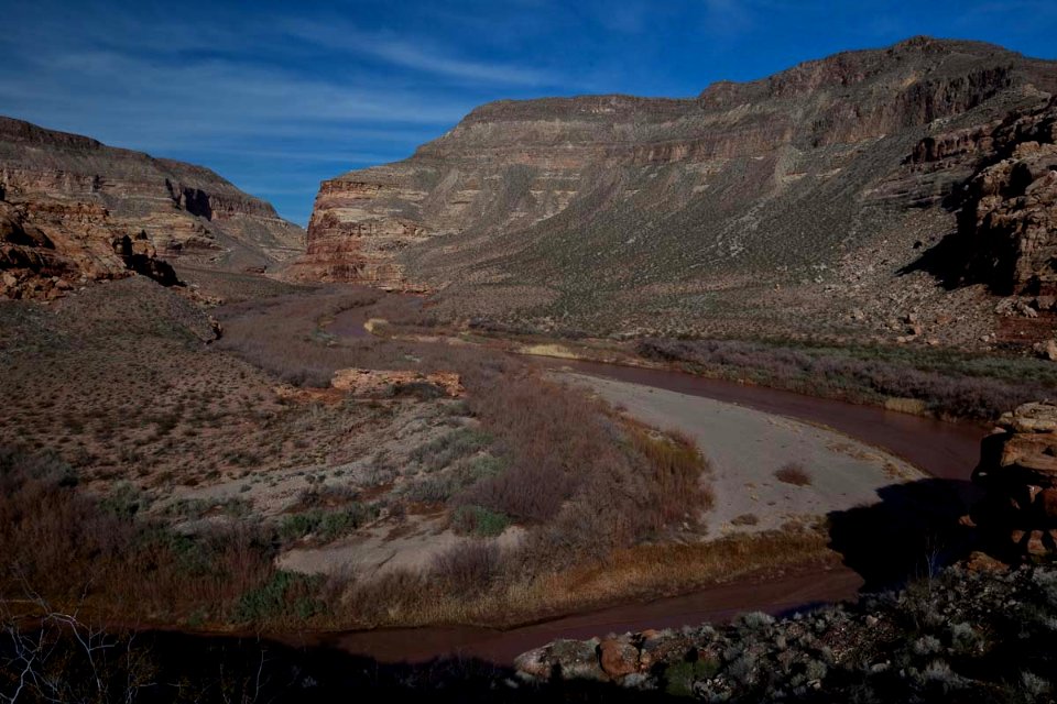 Beaver Dam Mountains Wilderness (35280664641)