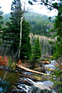 Beaver Dam, Medano Creek (33321312380)
