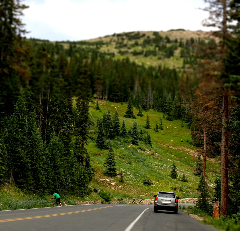 Beginning of Trail Ridge Road (28617330362)