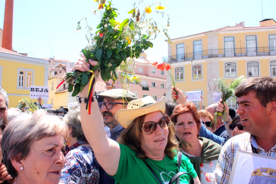 Beja merece+ em Lisboa IMG 2891 (41135015105)