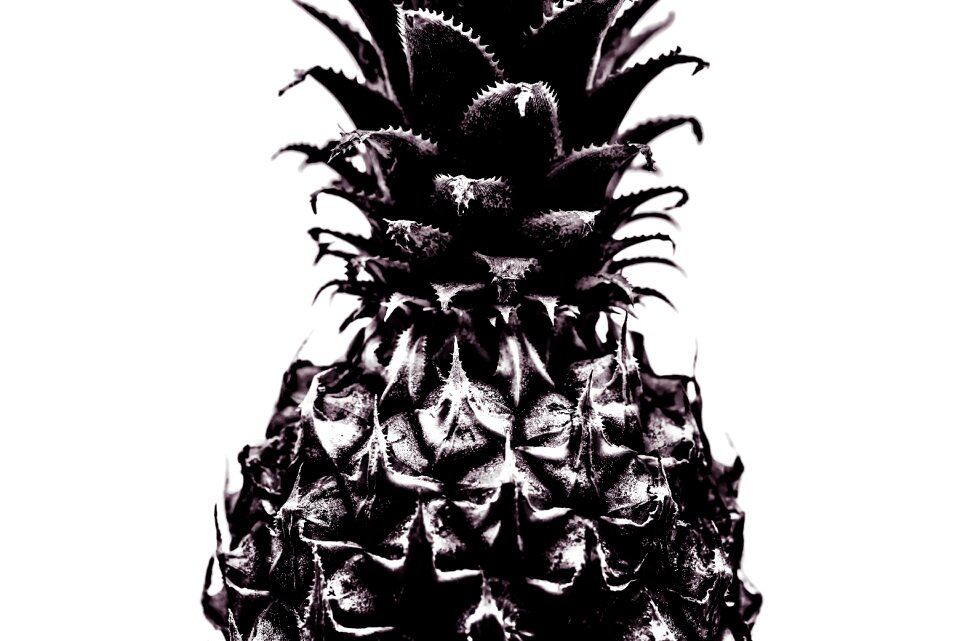Fresh fruit white