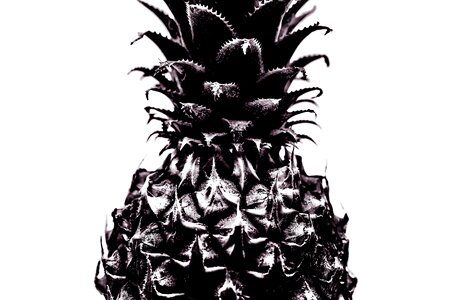 Fresh fruit white