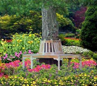 Bench (46795263734)