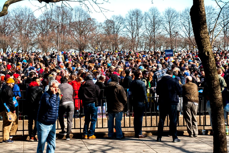Bernie Chicago Illinois 3-7-20 5649 - 49633498241