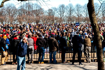 Bernie Chicago Illinois 3-7-20 5649 - 49633498241