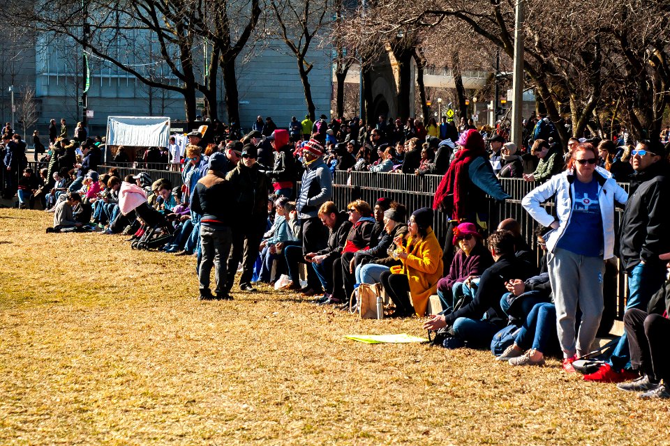 Bernie Chicago Illinois 3-7-20 5659 - 49633767882