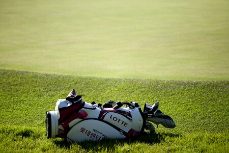 Golf players golf bags grass