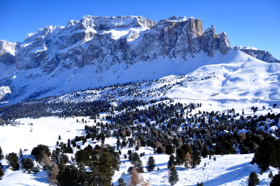 Landscape nature panorama