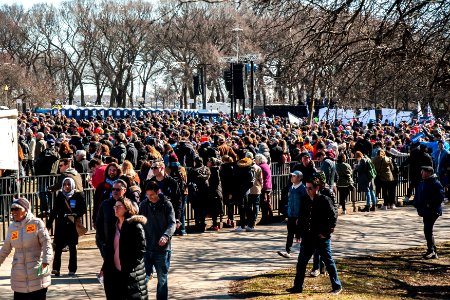 Bernie Chicago Illinois 3-7-20 5654 - 49633497971