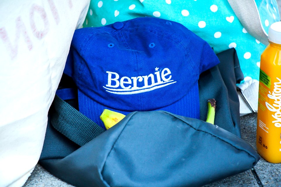 Bernie Chicago Illinois 3-7-20 5631 - 49633769567