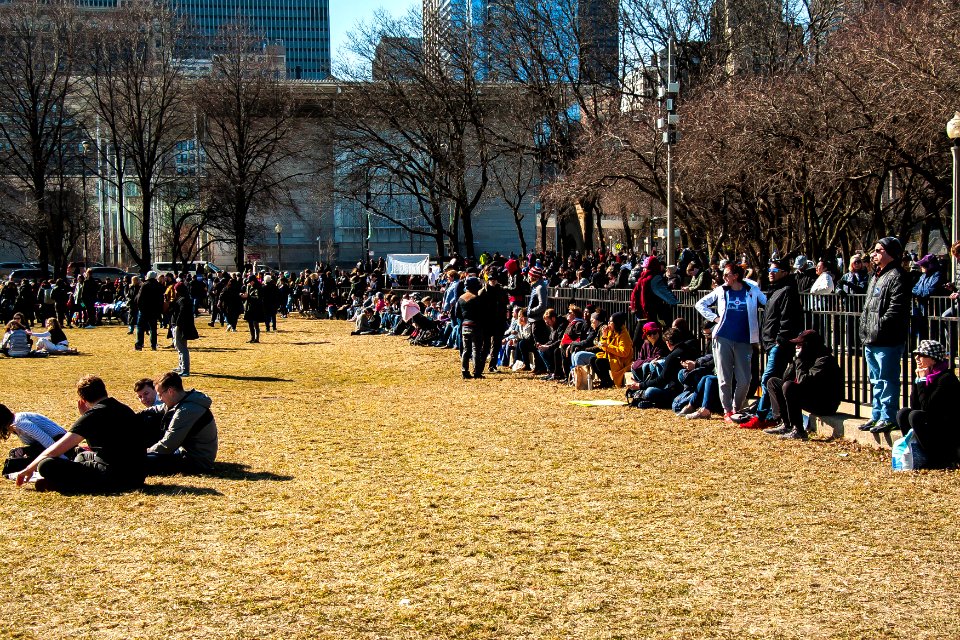 Bernie Chicago Illinois 3-7-20 5658 - 49632973978