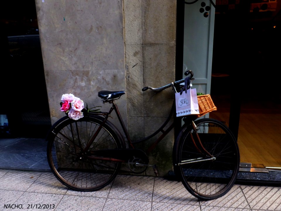 Bicicleta (11517360895)