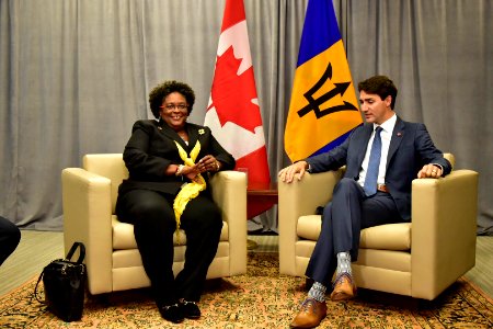 Bilateral meeting on the fringes of the UN General Assembly with Canadian Prime Minister Justin Trudeau. (43983941735)