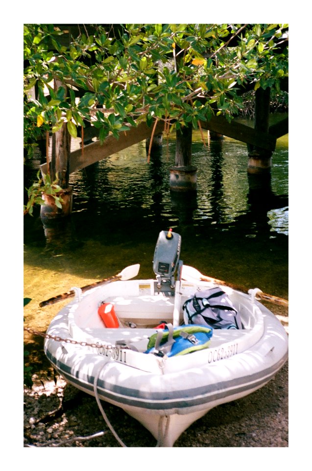 Boat near mangrove trees - Flickr - GR167