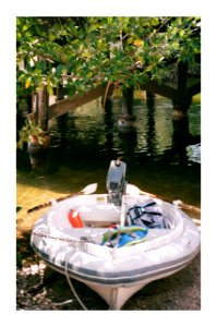 Boat near mangrove trees - Flickr - GR167