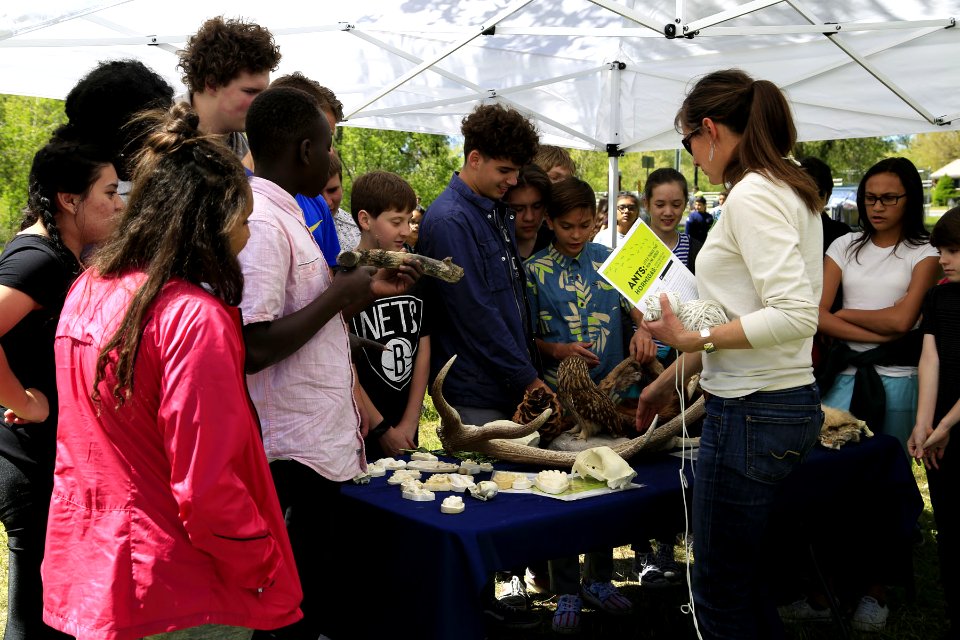 BLM-UT wildlife booth (33714265883)