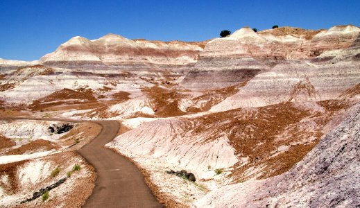 Blue Mesa View 6 (37853398814) photo