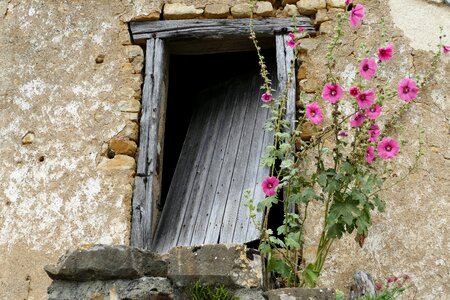 Neglected broken wall