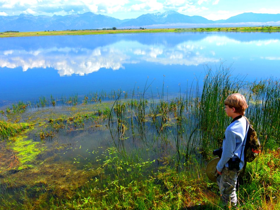 Boy at Wetland West of Dunes (29527789690)