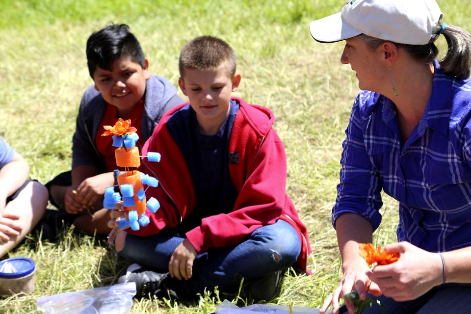 Building soil models (33682164794)