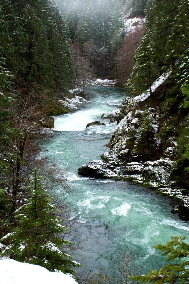 Breitenbush River, Oregon (25107613117)