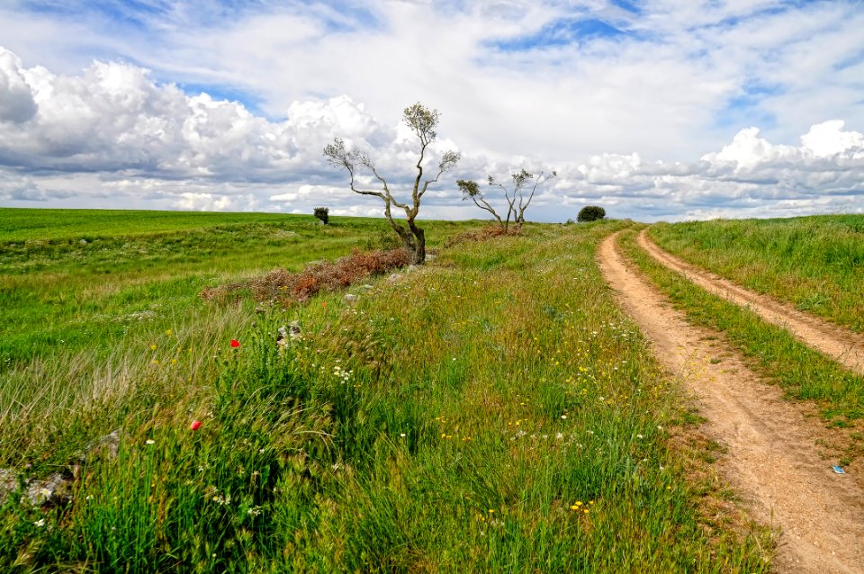 Camino Juzbado (15519446073)