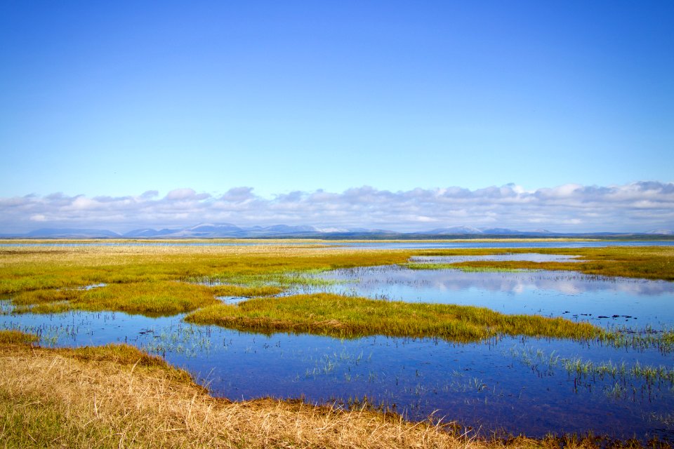 CAKR Coastal lagoons (34931899783)