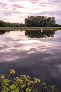 Calm Morning at Gavins Point NFH (50209628898)