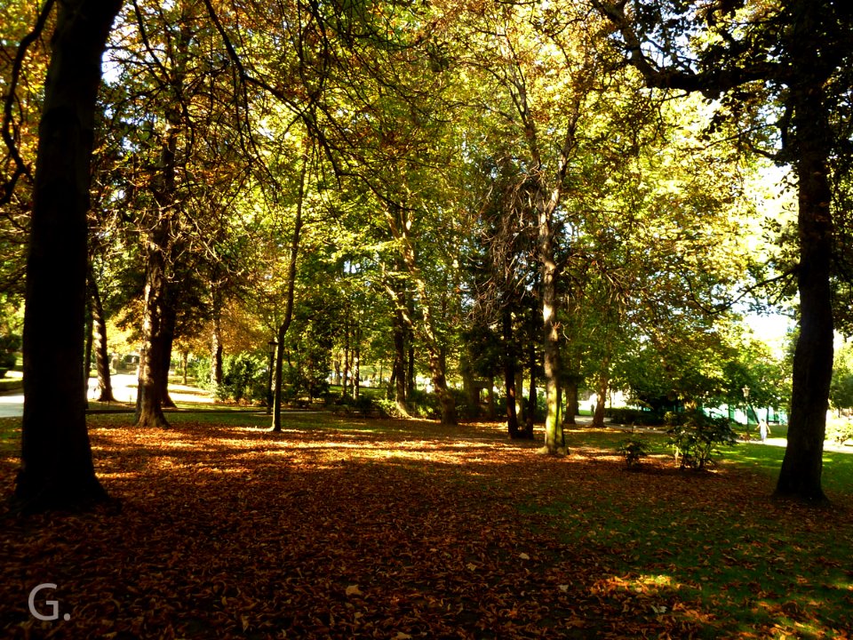 Campo de San Francisco (6268854370)