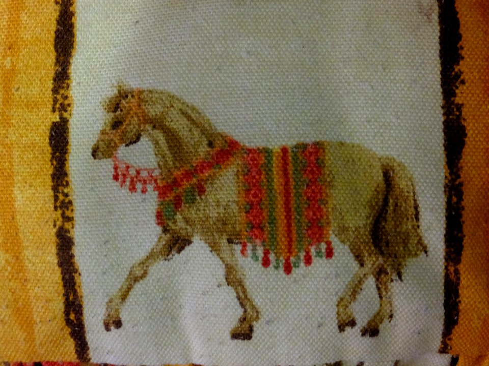 Caballo (14505929170)