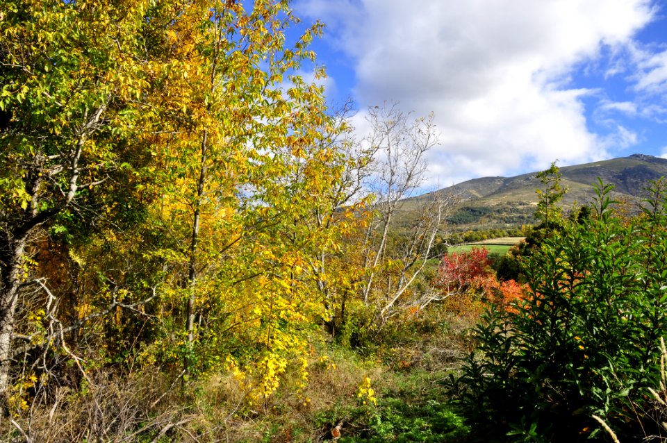 Candelario - Salamanca (15248656104)